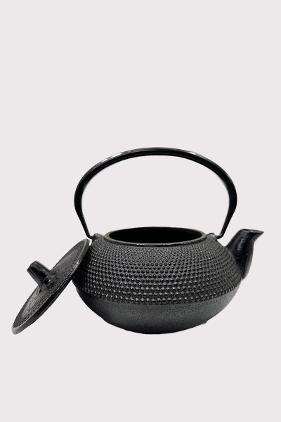 Vintage Nambu Cast Iron Teapot