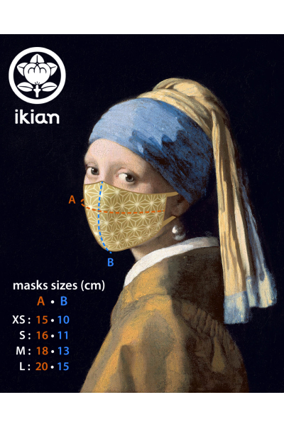 Dragonflies protection mask